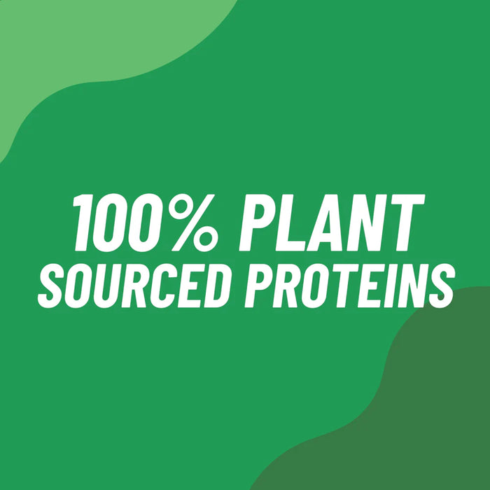 EFECTIV Vegan Protein 900g