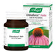 A Vogel Echinaforce Forte Cold and Flu 40 Tablets - Immune Support at MySupplementShop by A.Vogel