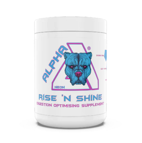 Alpha Neon Rise and Shine 360g - Orange Juice - Sports Supplements at MySupplementShop by Alpha Neon