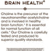 Nature's Way Choline 500mg 100 Vegan Tablets | Premium Supplements at MYSUPPLEMENTSHOP