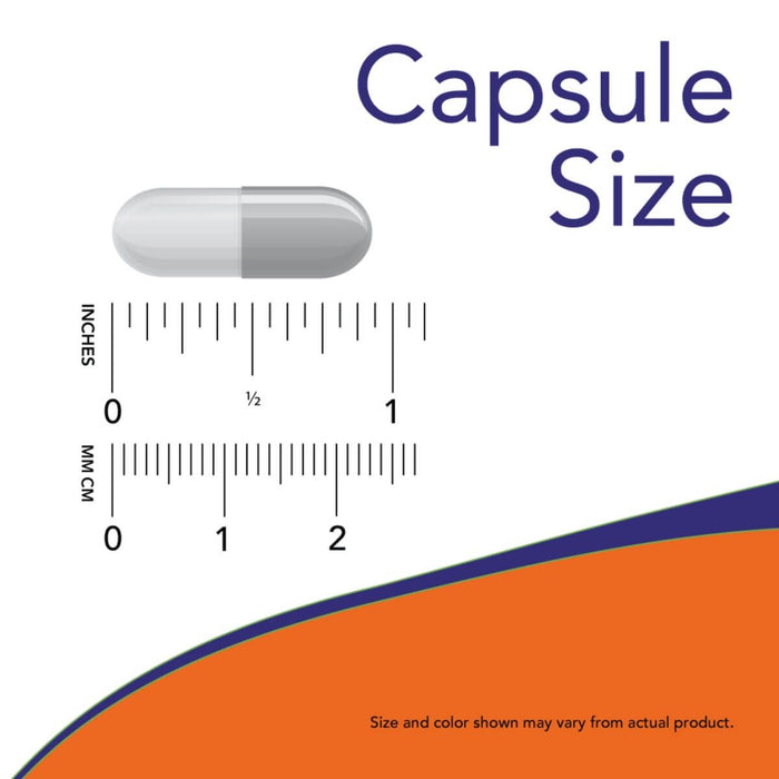 NOW Foods L-Carnosine 500 mg 50 Veg Capsules | Premium Supplements at MYSUPPLEMENTSHOP
